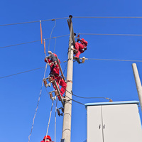 Disjoncteur de coupure extérieur MRCA-12 10 kV avec parafoudre à oxyde de zinc pour la protection des transformateurs de distribution