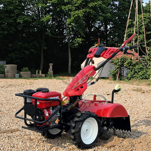 Penjualan terlaris 7.5HP bensin Mini striping mesin Motor Power Tiller <span class=keywords><strong>Cultivator</strong></span> untuk mesin pertanian peralatan petani - Product Image 4