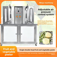 Éplucheur automatique de fruits en acier inoxydable SUS 304, 1600W, pour mangue, citrouille, pastèque, papaye