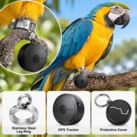 Mini traceur GPS 4G Beidou, kit de 3 pièces, pour oiseaux, chiens, chats, suivi en temps réel, plastique, étanche IP68, OEM, ODM, étiquette privée