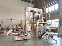 Machine de remplissage de sacs de chips de pommes de terre électrique PLC Weeshine WPV200 à haute automatisation, vitesse, précision, efficacité et utilisation à long terme