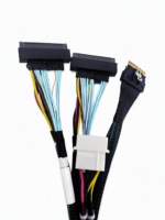 SFF 8654 8I Host zu 2X U2 SFF 8639 Target-Kabel mit SATA-Stromversorgung für NVMe SSD Array-Karten Server-Speicher Großhandelslieferung