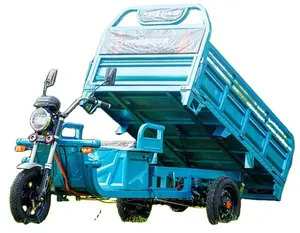 2024 New Style China Manufacturer Popular Model Vehicles for Sale Triciclo Electrico 800W Motor Electric Cargo Tricycle