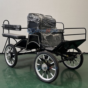 Newly Designed Carriage/customized Luxury Marathon/factory Direct Marathon Rickshaw - Product Image 2