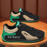 Prix de gros Nouvelles baskets de printemps pour hommes, polyvalentes, à enfiler, rehaussantes, décontractées, sportives, pour le skateboard et tendance