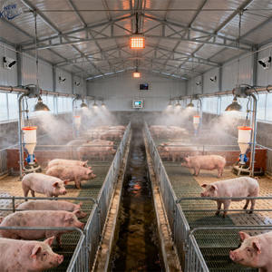 Étable légère préfabriquée de structure en acier et poulailler conçus avec le revêtement anti-corrosif galvanisé - Product Image 1