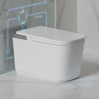 WC intelligent universel avec bidet électrique à double chasse, évacuation en S, OEM/ODM, pour hôtels
