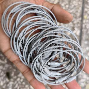 Rivestimento in Pvc cavo portachiavi cavo <span class=keywords><strong>filo</strong></span> in acciaio inossidabile anello rotondo Svrew <span class=keywords><strong>filo</strong></span> di acciaio rivestito in Nylon trasparente/bianco portachiavi - Product Image 2