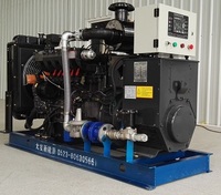 Groupe électrogène fiable de 50 kW 62,5 kVA à gaz de combustible de paille, équipement de production d'énergie biomasse à contrôle automatique pour projets agricoles
