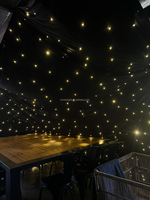 Rideau LED Étoilé pour Scène, Éclairage Disco, DJ, Mariage, Toile de Fond DMX, Décoration de Plafond, Blanc Chaud, Bleu, Blanc