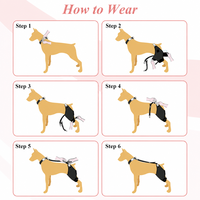 Attelle de genou durable et portable pour chien avec thérapie par lumière rouge, boucle de collier, pour la guérison des lésions du ligament croisé arrière (LCA) et de l'arthrite, protection des pattes arrière pour animaux de compagnie