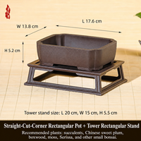Maceta Cuadrada Creativa de Resina Estilo Chino para Orquídeas, Suculentas y Cactus con Diseño de Control de Raíces, para Balcón y Escritorio