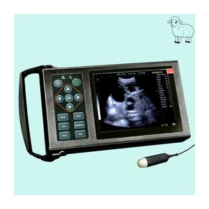 Alat USG Veteriner Portabel M10 dengan Probe Mekanis, Pencitraan Jelas untuk Sistem Diagnostik Domba - Product Image 1