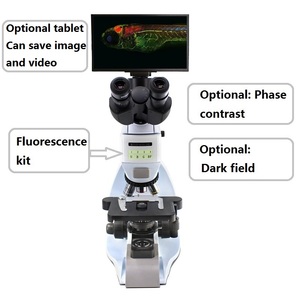 Boshida BD-SW35T-FL明るいフィールド蛍光暗フィールド位相コントラスト化合物光学顕微鏡 - Product Image 3