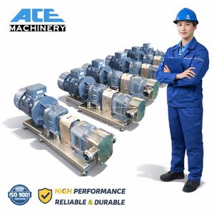 15HP 11KW ZB3A-100 Stainless Steel SS304 SS316L Single Wing Food Rotor Lobe Pump With Transferring High Viscosity Liquid - Product Image 5