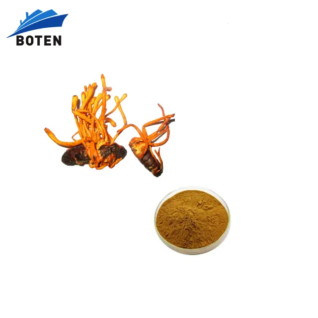 סין מפעל cordyceps militaris מתח תמצית אבקת 50% בטא D גלוקן