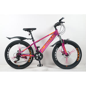 Vélo de montagne unisexe avec frein à disque COOLKI Devil king de 24 pouces et cadre en acier à 21 vitesses pour hommes et femmes - Product Image 1