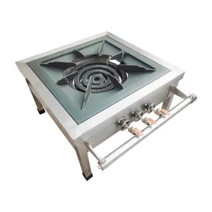 Hot Selling Professional Manufacture Stainless Steel Single Burner Gas Stove Floor Standing Cast Iron Stove