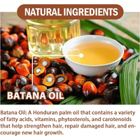 Nouvel arrivage d'étiquette d'huile essentielle de cheveux personnalisée beurre de batana forme organique naturelle Honduras 100% huile de batana crue pure pour la croissance des cheveux