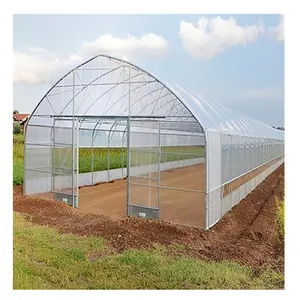 Invernadero de túnel de polietileno de un solo rango, agrícola, para verduras