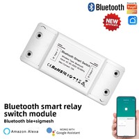 Interruptor Temporizador Inteligente con Control Remoto para Aplicaciones, con 2 Años de Garantía, Certificado CE ROHS para Hogar Inteligente, CA 90-250V, PC/Cobre