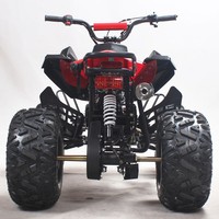 Quad à moteur pour enfants Tao Motor Farm ATV 110cc 4 125cc Quad 2 roues motrices à transmission par chaîne de course de moto à roues