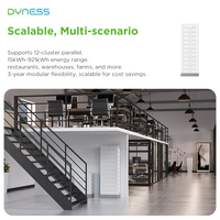 Dyness STACK100 15,36 kwh Lifepo4 Batterie 51.2V 100Ah Garantie 10 ans