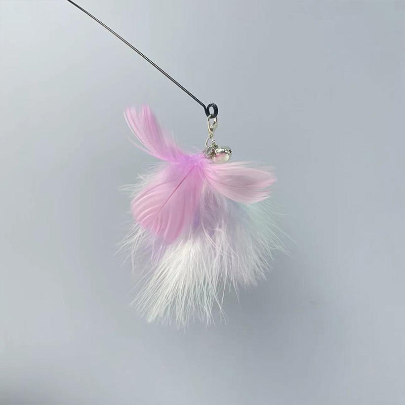 Yubari flor orquídea púrpura cabeza cambio