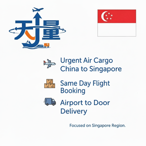 شحن جوي عاجل من الصين إلى سنغافورة |   حجز رحلة في نفس اليوم |   خدمة التوصيل من المطار إلى الباب - Product Image 1
