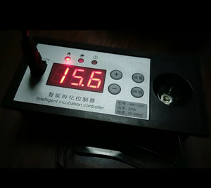 Interruptor <span class=keywords><strong>de</strong></span> Control del termostato <span class=keywords><strong>de</strong></span> incubación, controlador <span class=keywords><strong>de</strong></span> incubadora con pantalla Digital, interruptor <span class=keywords><strong>de</strong></span> termostato <span class=keywords><strong>de</strong></span> incubación automático <span class=keywords><strong>de</strong></span> tubo <span class=keywords><strong>MOS</strong></span> - Product Image 6