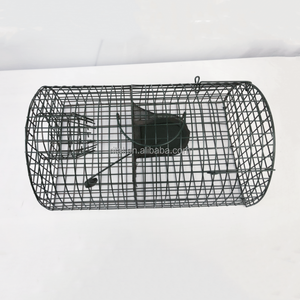 <span class=keywords><strong>Cage</strong></span> de piège à souris en fil d'acier de fer noir de haute qualité - Product Image 1
