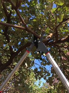 Sécateur à contournement de qualité industrielle de 74 cm, action à engrenages planétaires, avec poignée antidérapante, lame recouverte de PTFE, manche en aluminium léger - Product Image 5