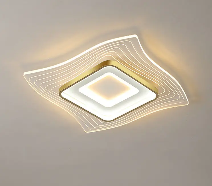 הצעה מיוחדת מודרני אור שני אור צבעים זמין LED תקרת אור