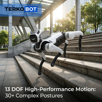 Robot Quadrupède Professionnel MagicDog TERKOBOT 13-DOF avec Interaction IA SAGE, Fiabilité Tout-Terrain, Robotique ROS Python