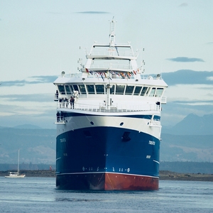 Trasporto Marittimo LCL DDU dalla Cina alla Repubblica Dominicana (San <span class=keywords><strong>Pedro</strong></span> De Macoris, Rio Haina), Agente di Spedizioni Economico dalla Cina con Logistica Personalizzata - Product Image 1