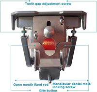 Équipement d'enseignement Simulateur Dentaire Mannequin Phantom Head Bench Mount Fix On Desk Training Mannequin modèle de dent dentaire