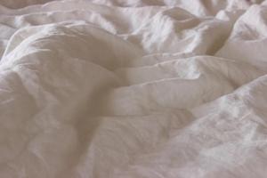 Solid Green Linen Donna 3-Piece Full <b>Quilt</b> Duvet 200TC Cover Set with 2 Matching Coconut Button Pillow Cases Soft Home Hotel <b>Bed</b> - Product Image 2