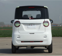 Voiture électrique intelligente L6e Luna à 2 portes avec batterie au plomb pour adultes - Volant à gauche