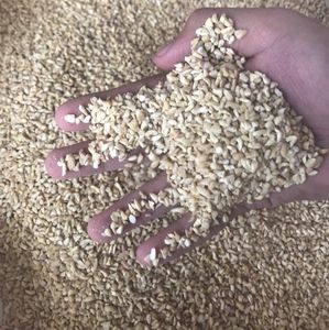 Anacardos crudos y frescos naturales 100% enteros, nutritivos y deliciosos, fabricación de Vietnam de alta calidad - Product Image 4