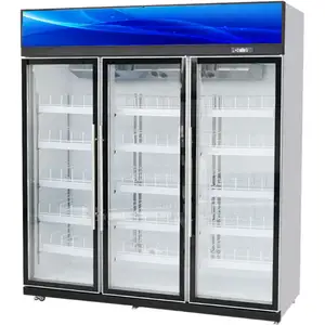 Hochwertige kommerzielle Warenkühlgeräte 1~3 Türen Getränke-Vorführkasten Supermarktkühlschrank Gefrierschrank