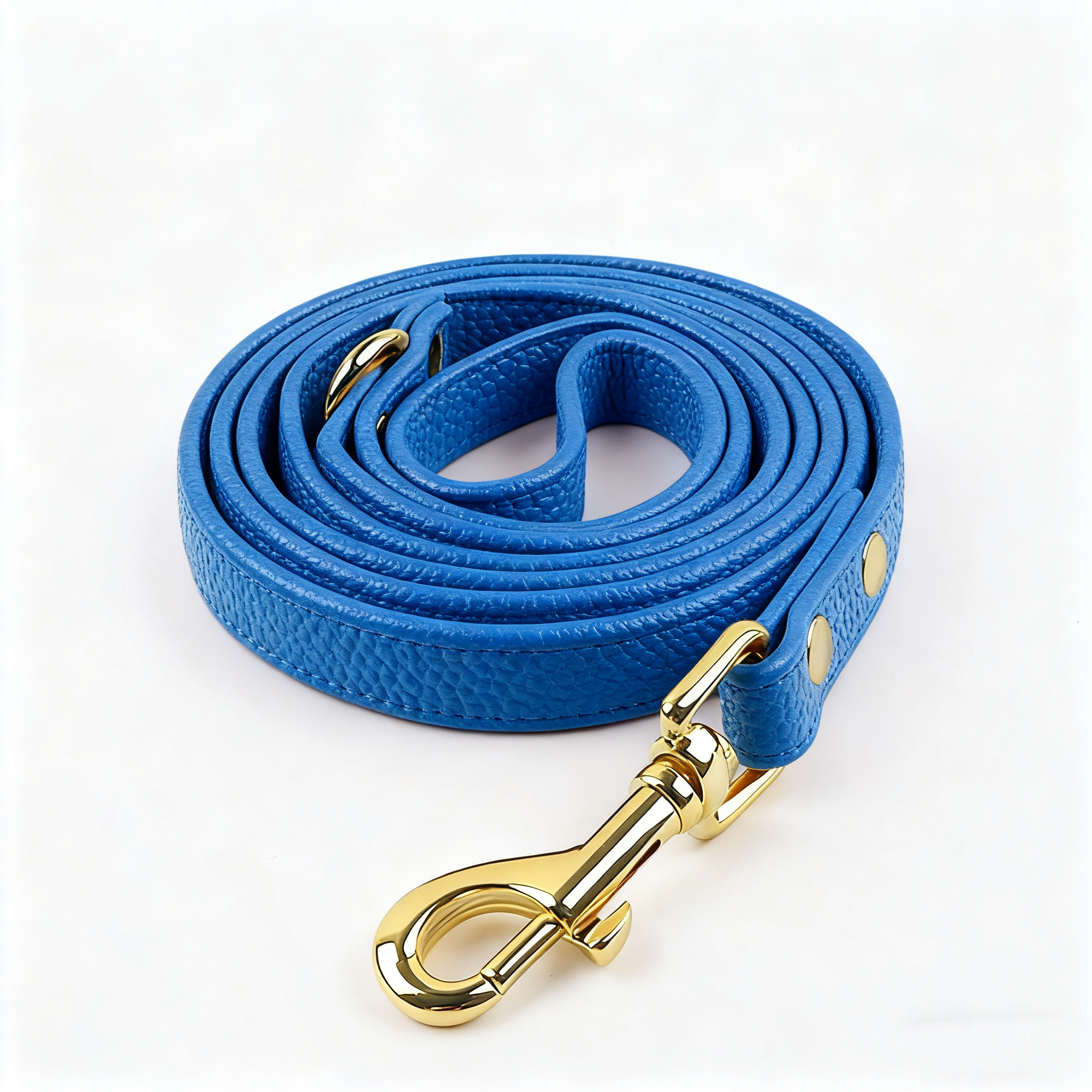Guinzaglio blu