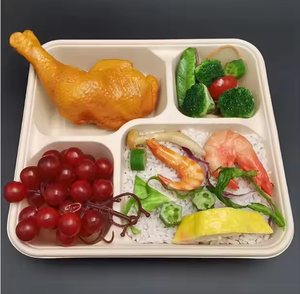 100% <span class=keywords><strong>plateau</strong></span> à sushi jetable biodégradable vaisselle <span class=keywords><strong>plateau</strong></span> de nourriture bagasse <span class=keywords><strong>plateau</strong></span> à emporter sûr pour réfrigérateur pour les fêtes - Product Image 3