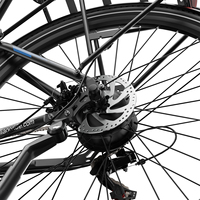 Vélo électrique Reliago C29 Lite certifié CE avec porte-bagages arrière, phare intégré, feu arrière de freinage, batterie au lithium, moteur sans balais 250W