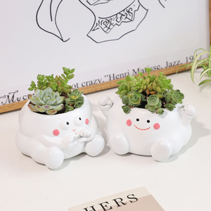 ROOGO Vente en gros Mini petits pots à plantes mignons pour exprimer <span class=keywords><strong>son</strong></span> humeur Jardinières en pot de plantes succulentes en résine sur la table - Product Image 5