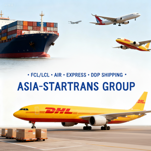 Fret aérien express depuis la Chine : Porte-à-porte vers le <span class=keywords><strong>Mexique</strong></span>, l'Amérique du Sud/<span class=keywords><strong>Centrale</strong></span> et les Caraïbes |   Coût réduit via DHL/UPS/FedEx DDP DDU DAP - Product Image 3