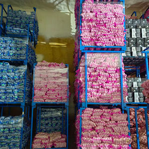 Embalaje <span class=keywords><strong>de</strong></span> ajo Premium en bolsa <span class=keywords><strong>de</strong></span> malla <span class=keywords><strong>de</strong></span> color púrpura, 3P/5P/6P por bolsa, 10KG/CARTON, Exportación <span class=keywords><strong>Colombia</strong></span>, Chile - Product Image 5