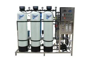 500lph Ro Omgekeerde Osmose Drinkwater Zuivering Plantwater Purifier Met Ro Gedemineraliseerd Water Behandeling Machine