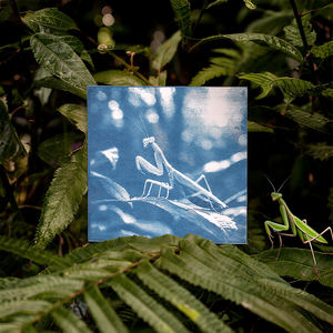 Lot de 36 feuilles de papier cyanotype carrées 9,9x9,9 cm pour impression solaire, création artisanale DIY, grand pack partageable, vente en gros usine - Product Image 6