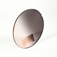 Lentilles de lunettes de soleil polarisées en PC à teinte dégradée, revêtement AR personnalisé, pour mini projecteur Salage – Vente chaude