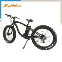 Kit de conversion de vélo électrique avec roue moteur 72V 5000W pour Fat Bike, 20 pouces 4.0, Prix réduit, Vente en gros